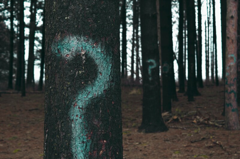 Tree with a question mark